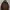 Gorpcore Windbreaker Pria Tan Brown