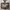 Gorpcore Windbreaker Pria tan brown photo 2