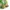 Vintage skirt y2k summer beach girl green retro 2000s pleats photo 4