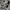 Kaos Lous Vuitton monogram authentic luxury photo 3