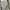 Carhartt Hoodie K288 E20 Script photo 4