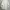 Polo Ralph Lauren Vintage Casual Harrington jacket Pria white photo 3