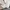 Polo Ralph Lauren Vintage Casual Harrington jacket Pria white photo 4