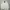 Polo Ralph Lauren Vintage Casual Harrington jacket Pria white photo 1