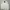 Polo Ralph Lauren Vintage Casual Harrington Jacket Pria White