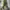 Deuter aircontact pro 70 plus 15 photo 3