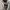 Converse Casual Sneakers Wanita white black photo 7