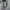Converse Casual Sneakers Wanita white black photo 4