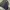 Stussy Streetwear Casual Bomber jacket Pria gray photo 3