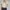 Crop Top lucu photo 4