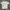 Kaos polo oversize photo 2