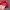 Vintage Streetwear Hat Pria red photo 4