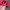Vintage Streetwear Hat Pria red photo 3