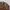 DAIZ BROWN LEATHER JACKET photo 4