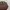 DAIZ BROWN LEATHER JACKET photo 3