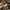 DAIZ BROWN LEATHER JACKET photo 5