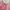 H&M Casual Cami Top Wanita Pink