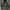 AAPE CAMO UNIVERSE spellout photo 1