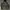 AAPE CAMO UNIVERSE Spellout