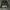 AAPE CAMO UNIVERSE spellout photo 3