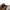Luxury Casual Formal pants Pria cream tan photo 4
