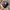 New Era Sportswear Casual Hat Pria multicolor photo 2