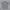 Kaos Polo Shirt Unbrand Grey  photo 4