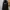 National Geographic Streetwear Hoody Pria black photo 6