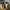Caterpillar Casual Sneakers Pria tan photo 7
