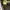Caterpillar Casual Sneakers Pria tan photo 2