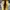 Caterpillar Casual Sneakers Pria tan photo 5