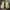Caterpillar Casual Sneakers Pria tan photo 3