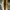Caterpillar Casual Sneakers Pria tan photo 6