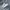 Sepatu Nike Airmax 97 Triple White photo 1