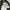 Freaks Store ballon cargo baggy pants y2k hnm zara guess photo 7