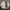 Vintage Y2K Cardigan Pria khaki cream photo 3