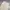 Zara cargo baggy pants y2k hnm zara guess gorpcore photo 6