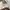 Zara cargo baggy pants y2k hnm zara guess gorpcore photo 4