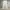 Zara cargo baggy pants y2k hnm zara guess gorpcore photo 1