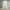Zara Cargo Baggy Pants Y2k Hnm Zara Guess Gorpcore