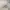 Zara cargo baggy pants y2k hnm zara guess gorpcore photo 7