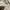 Zara cargo baggy pants y2k hnm zara guess gorpcore photo 3