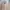 Billabong Streetwear Casual Sweater Wanita gray photo 2