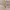 Yves Saint Laurent YSL Casual Wanita gold photo 1