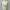 Outer Bulu Wanita Putih Y2k Girly photo 1
