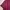 Dress Maroon Eprise XXL