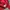 Umbro Y2K Sportswear Track jacket Pria red photo 6