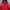 Umbro Y2K Sportswear Track jacket Pria red photo 4