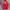 Umbro Y2K Sportswear Track Jacket Pria Red