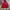 Umbro Y2K Sportswear Track jacket Pria red photo 2